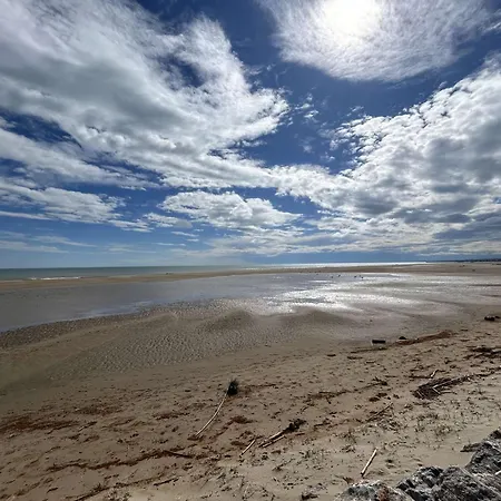 Refait A Neuf, 5 Couchages, A 50m De La Plage, Parking Prive - - Fr-1-229b-95 *